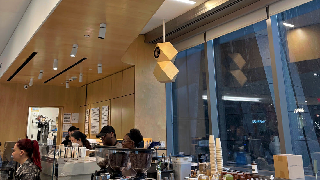 Why Your Cafe Sounds Bad (And How to Fix It with the Right Speakers)